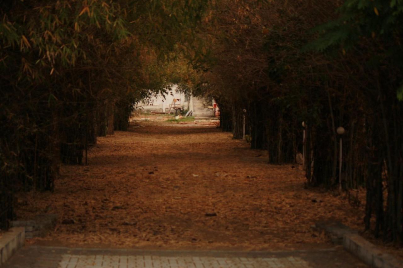 Vividearth Resorts Bandipur Luaran gambar