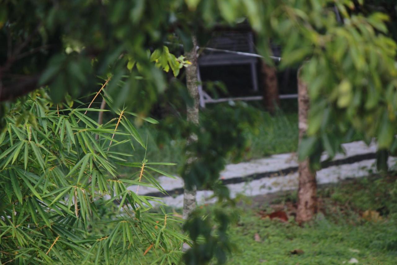 Vividearth Resorts Bandipur Luaran gambar