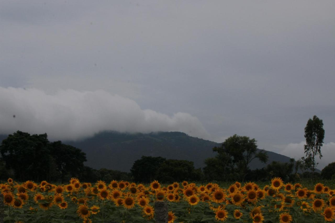 Vividearth Resorts Bandipur Luaran gambar