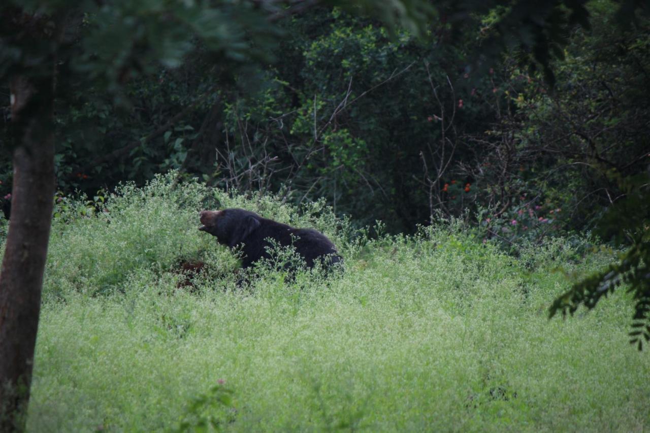 Vividearth Resorts Bandipur Luaran gambar