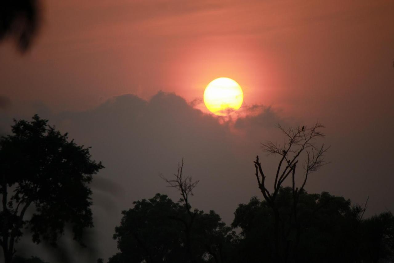 Vividearth Resorts Bandipur Luaran gambar