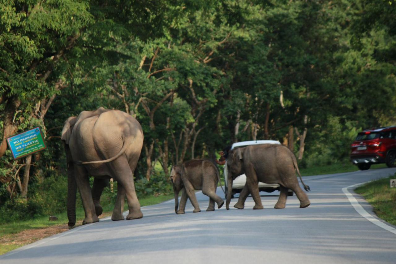 Vividearth Resorts Bandipur Luaran gambar