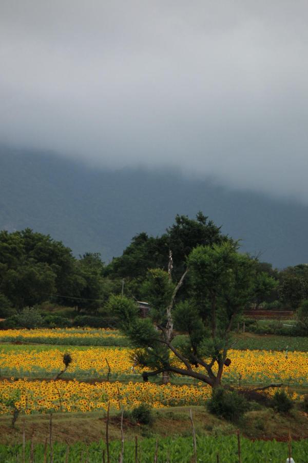 Vividearth Resorts Bandipur Luaran gambar